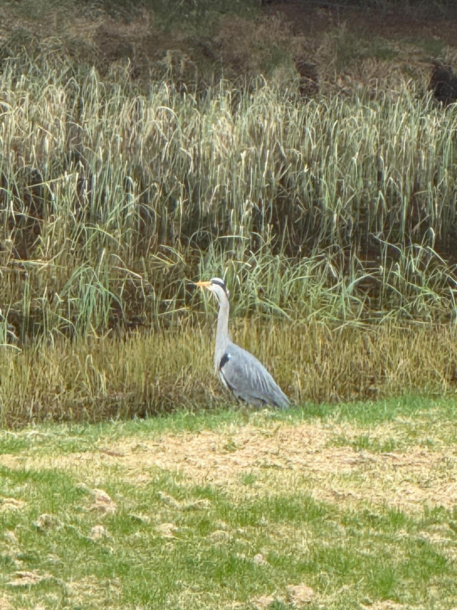 Willowbarn Rafford Self Catering Forres Luaran gambar