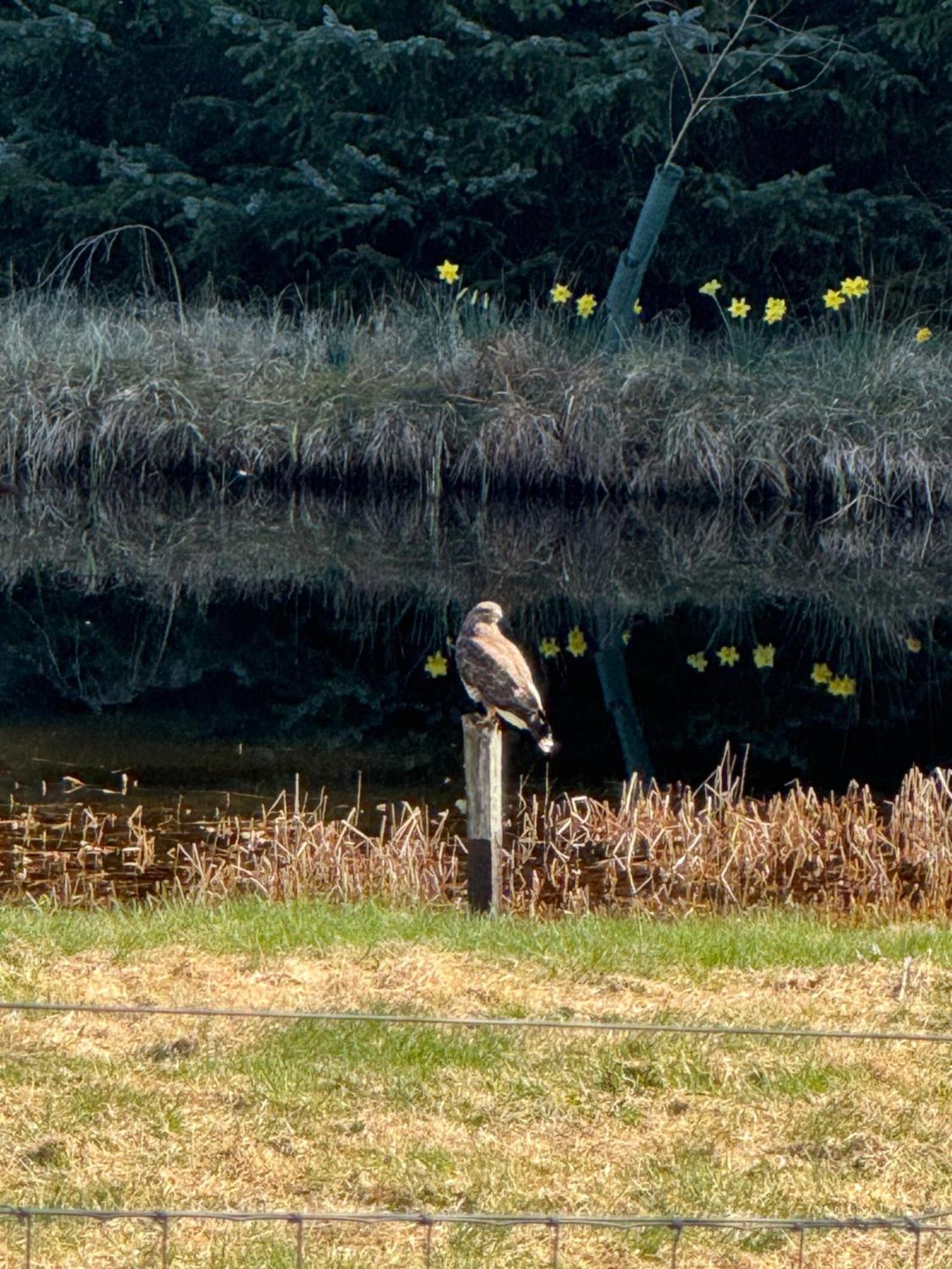Willowbarn Rafford Self Catering Forres Luaran gambar